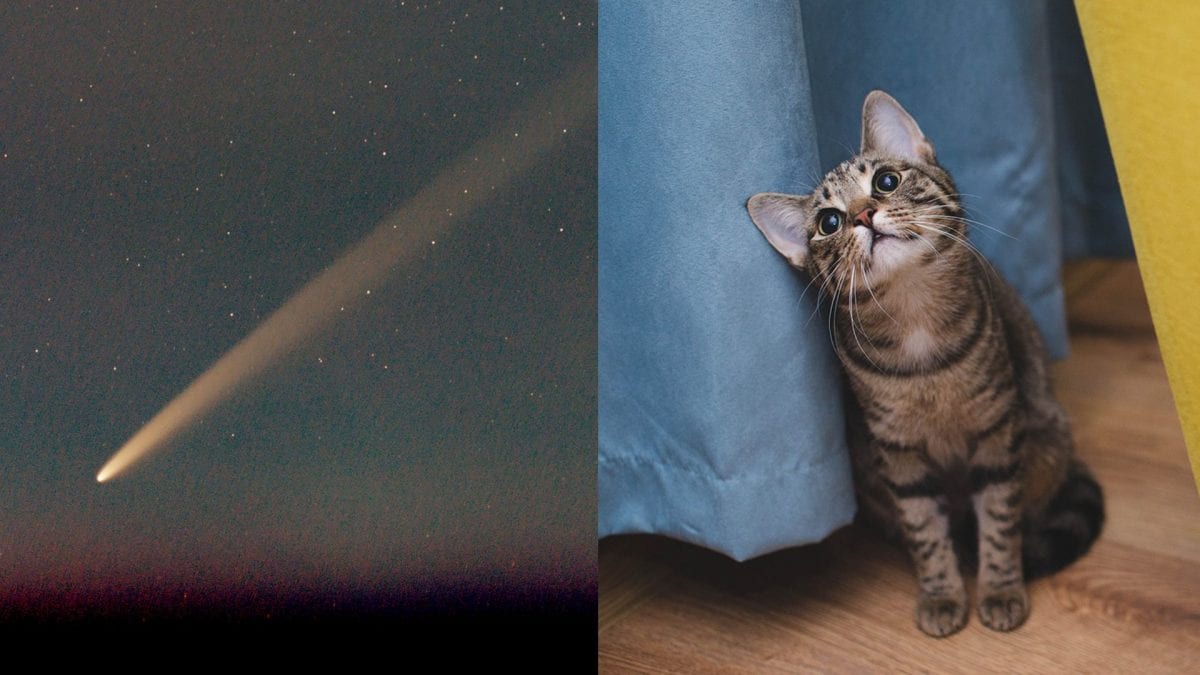 Pourquoi C/2023 A3 est-elle appelée “comète du siècle” et quel lien y a-t-il entre les chats et ces objets célestes 2 À gauche, la comète C/2023 A3 (Tsuchinshan-ATLAS). Crédit : C messier / Wikipedia