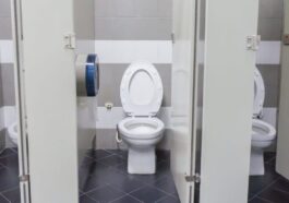 Pourquoi les toilettes publiques sont-elles presque toujours blanches ? Ce n'est pas qu'une question de propreté ! 14 Il y a plusieurs raisons pour lesquelles les toilettes des établissements publics sont presque toujours blanches / PhotoCredit iStock