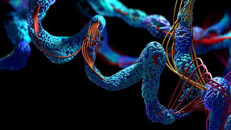 Que sont les protéines et pourquoi Baker, Hassabis et Jumper ont-ils remporté le prix Nobel de chimie 2024 1 Image