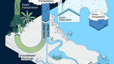 Qu'est-ce que le cycle de l'eau et pourquoi les scientifiques parlent de « déséquilibre global » 21 Le cycle global de l'eau, ou cycle hydrologique / Crédit : GCEW