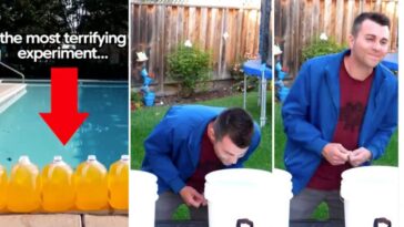 Si tu sens une odeur de chlore à la piscine, nous avons une mauvaise nouvelle pour toi : les résultats de l'expérience 11 INSTAGRAM | Images de la vidéo de Mark Rober