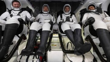 Un astronauta de la NASA hospitalisé après son retour de la Station Spatiale Internationale 9 Gli astronauti della NASA Matthew Dominick, Michael Barratt e Jeanette Epps, e il cosmonauta di Roscosmos Alexander Grebenki della SpaceX Crew-8 sono tornati sulla Terra venerdì mattina dopo otto mesi trascorsi sulla Stazione Spaziale Internazionale / Photo Credit: NASA