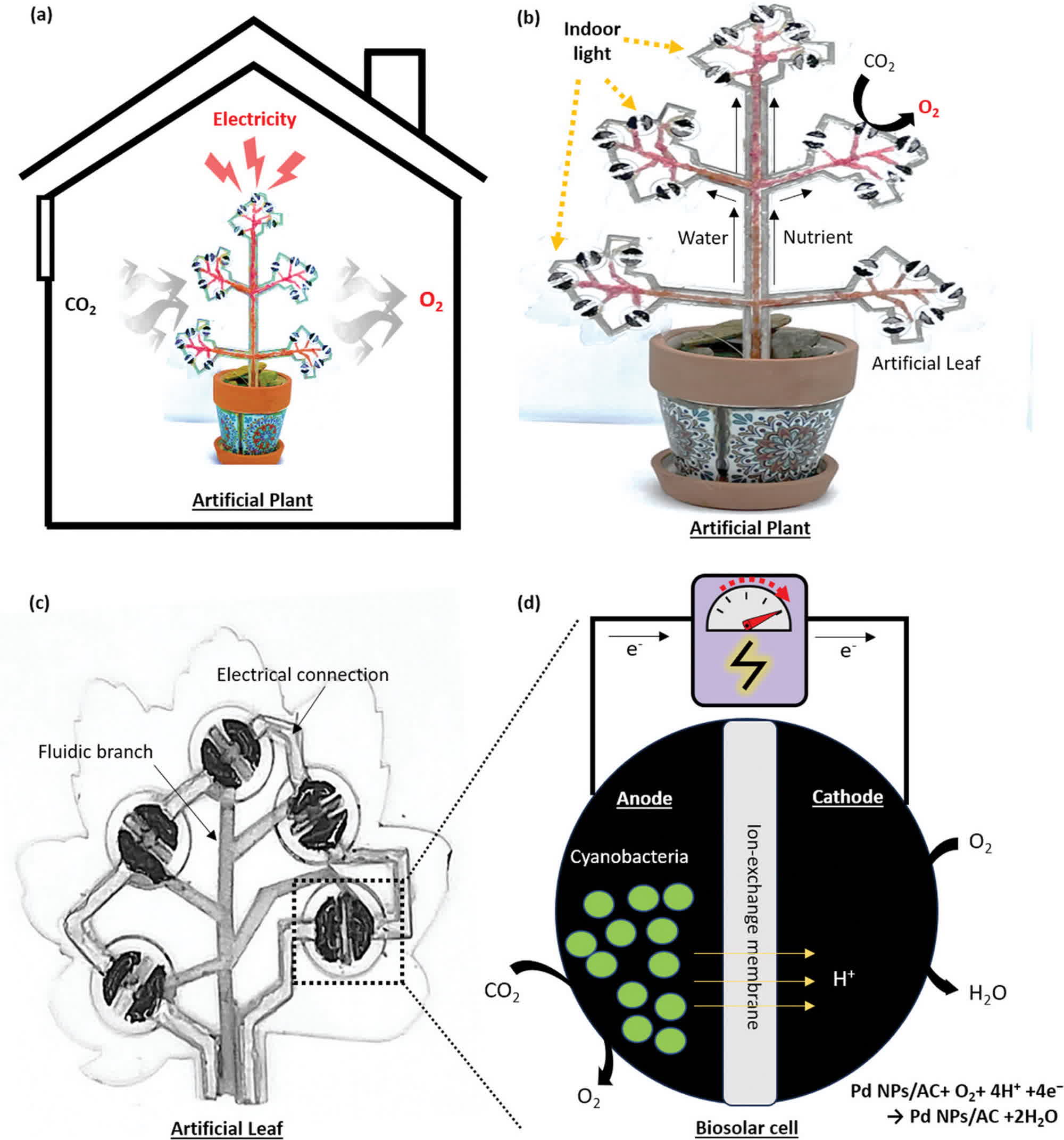 Une plante artificielle purifie l'air intérieur et fait office de source d'énergie pour les petits appareils électroniques 2 Une plante artificielle purifie lair interieur et fait office de