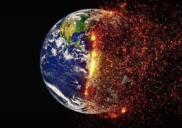 Urgence climatique : Agir maintenant pour éviter l'apocalypse en 2050 77 Image