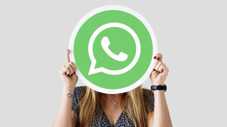 WhatsApp rend les vidéoconférences encore plus amusantes avec des filtres et des fonds virtuels 1 WhatsApp videochamadas filtros fundos