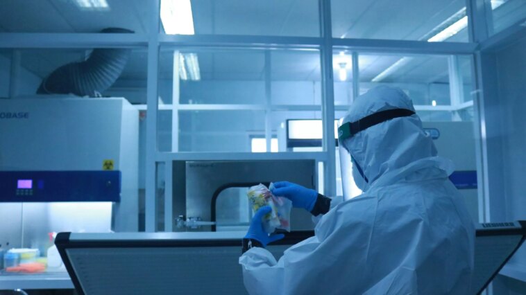 Le Royaume-Uni mise sur la surveillance génomique pour prévenir les pandémies futures 1 Le Royaume-Uni mise sur la surveillance génomique pour prévenir les pandémies futures