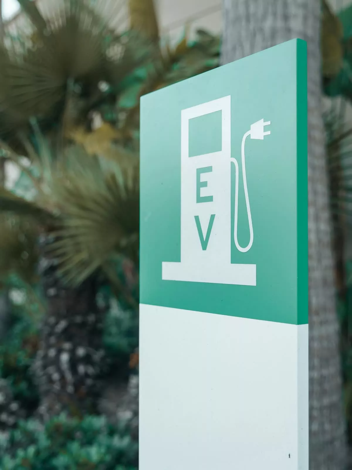 Une déferlante de voitures électriques de fin de leasing va bouleverser les prix aux États-Unis 3 1731506934 221 Une vague de voitures electriques hors lease a venir va revolutionner