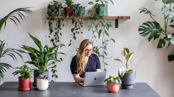 Dormir avec des plantes dans la chambre est-il nuisible pour la santé ? La science révèle la vérité 3 1732190926 241 Dormir avec des plantes dans la chambre est il nuisible pour.webp