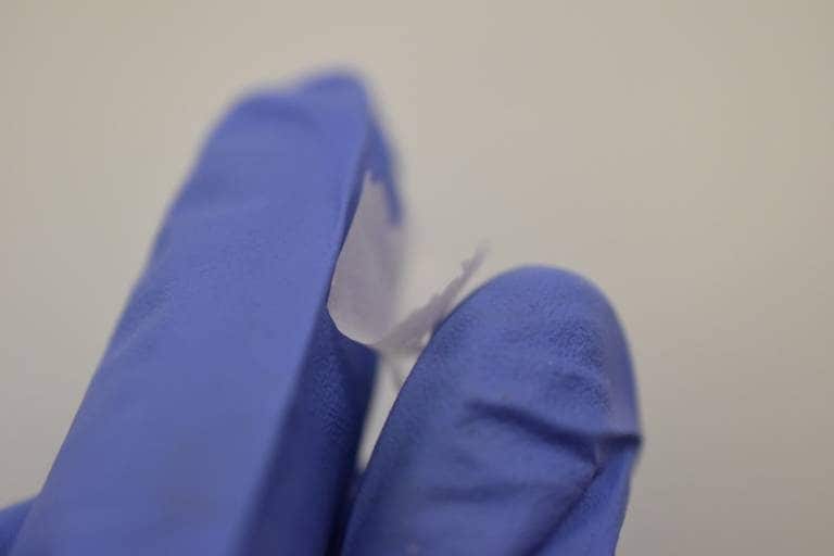 Les spaghettis les plus fins du monde sont fabriqués à Londres, mais pas pour être dégustés : découvrez leur véritable utilisation 3 Le tissu basé sur des nanospaghetti créé par les chercheurs de l'UCL / Crédits : UCL