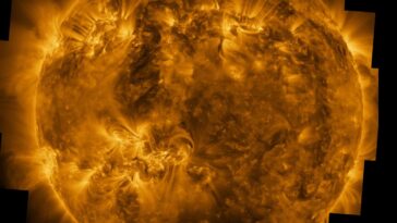 Solar Orbiter dévoile des images ultra-détaillées de la surface du Soleil 20 Solar Orbiter Dévoile Des Images Ultra Détaillées De La Surface Du