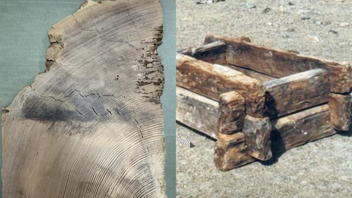 Saviez-vous qu'une incroyable tempête solaire a été enregistrée dans les anneaux des arbres ? 5 1732834672 323 Saviez vous quune incroyable tempete solaire a ete enregistree dans les.webp