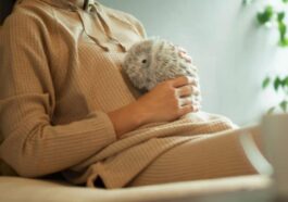 Ces nouveaux robots câlins veulent remplacer ton chat ou ton chien