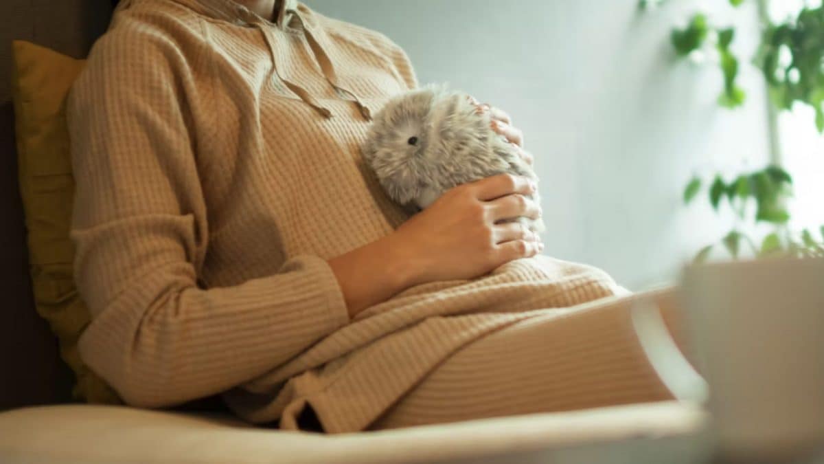 Ces nouveaux robots câlins veulent remplacer ton chat ou ton chien 2 Image