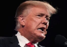 Chatgpt A Bloqué 250 000 Deepfakes Lors Des élections Américaines