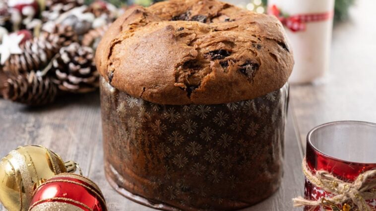Comment a été créé le premier panettone à base de farine de grillons : une délicieuse association de chocolat et de grillons caramélisés 1 Image