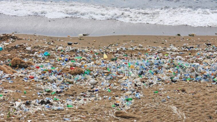 Dans le Pacifique, une gigantesque île de plastique : l'étude révèle son incroyable expansion ces dernières années 1 Immagine
