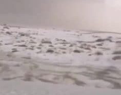 De La Neige Dans Le Désert Saoudien : Les Vidéos