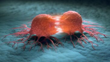 Doublons de décès par cancer d'ici 2050 : les révélations alarmantes d'une étude choc 8 Immagine