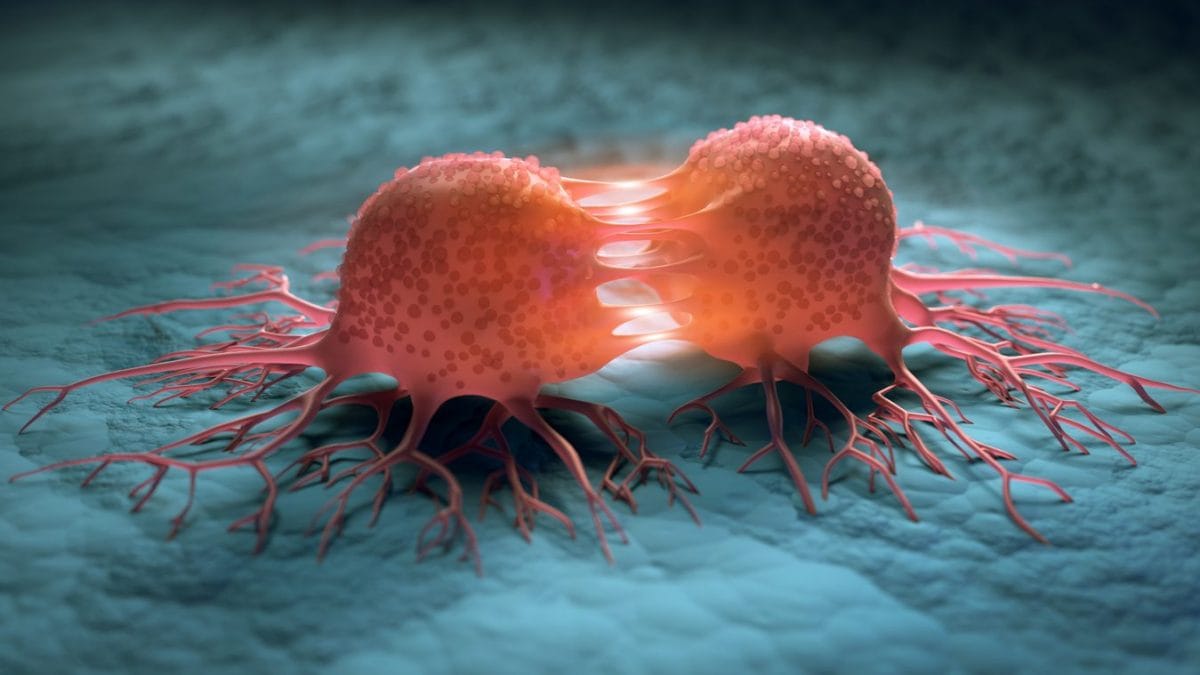 Doublons de décès par cancer d'ici 2050 : les révélations alarmantes d'une étude choc 19 Immagine