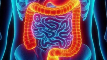 Découverte d'une protéine essentielle dans le cancer du côlon : sa présence révèle les patients peu sensibles à la chimiothérapie 6 Image