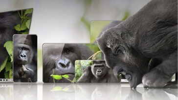 L'UE enquête sur Corning, créatrice du verre Gorilla Glass, pour possible abus de position dominante 12 L'UE enquête sur Corning, créateur du verre Gorilla Glass, pour possible abus de position dominante