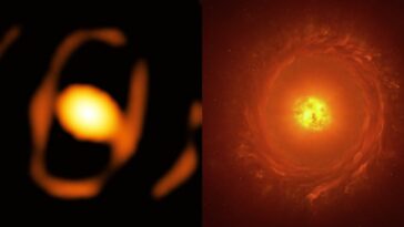 À gauche, l'image de l'étoile WOH G64, à droite une de ses illustrations. Crédit : ESO/K. Ohnaka et al., L. Calçada