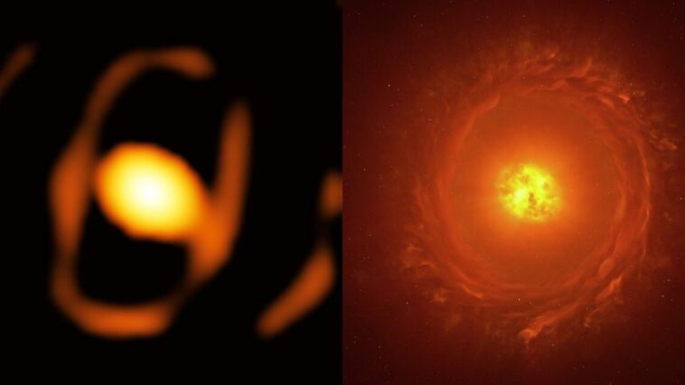 La première image rapprochée d'une étoile d'une autre galaxie : le « monstre » dévoilé 1 À gauche, l'image de l'étoile WOH G64, à droite une de ses illustrations. Crédit : ESO/K. Ohnaka et al., L. Calçada