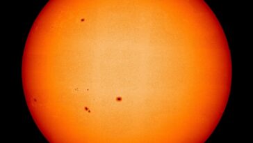 Image du Soleil en lumière visible : sur la photosphère, on voit les taches solaires / Crédit : ESA