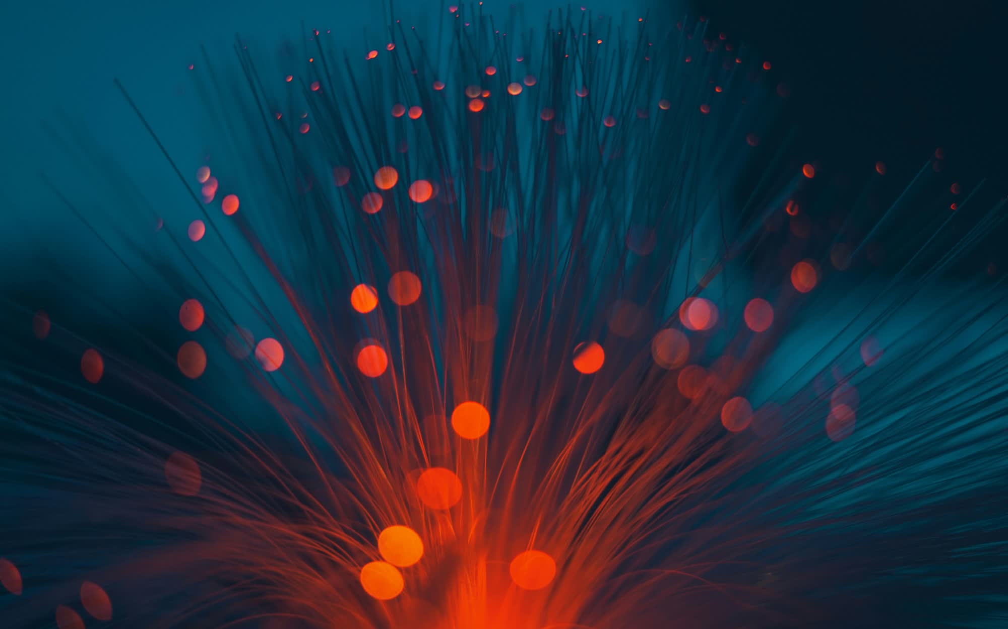 Le fabricant de câbles japonais Fujikura voit son action flamber de 400% grâce à la demande liée à l'IA 2 Le fabricant de cables japonais Fujikura voit son action flamber