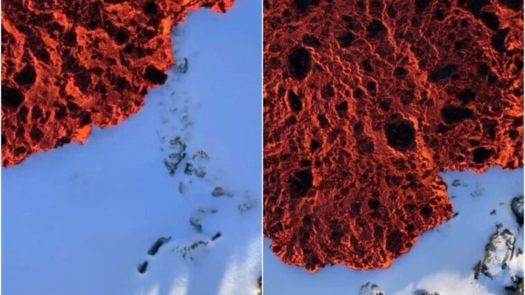 Le spectaculaire vidéo de la lave sur la neige qui ne fond pas : comment est-ce possible ? 1 Jeroen Van Nieuwenhove | Écran du vidéo posté sur son compte Instagram @jvn.photo