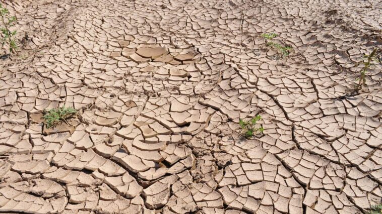 L'eau douce sur Terre se raréfie : comment les inondations compromettent notre avenir 1 Image
