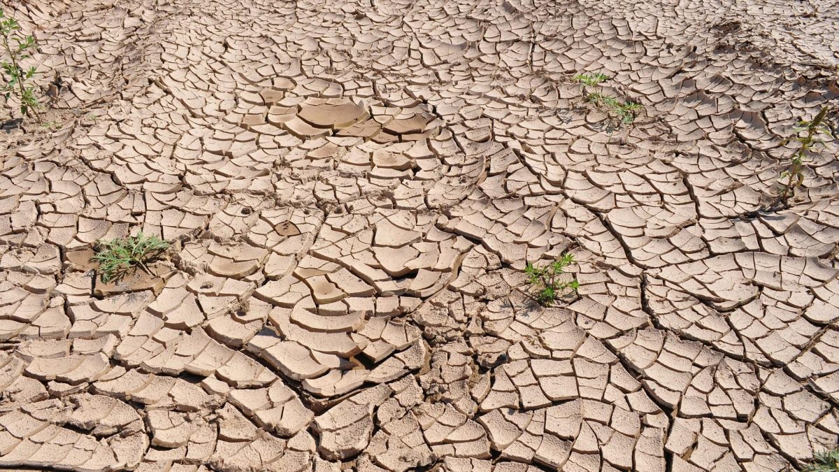 L'eau douce sur Terre se raréfie : comment les inondations compromettent notre avenir 2 Image