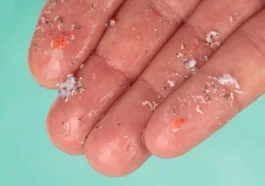 Nanoplásticos podem tornar os antibióticos menos eficazes