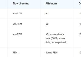 Les phases qui composent le cycle du sommeil / Crédit sleepfoundation.org