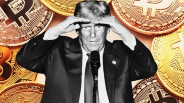 Trump prêt à lancer une carte de débit pour les cryptomonnaies : fonctionnement et date de lancement 21 Image