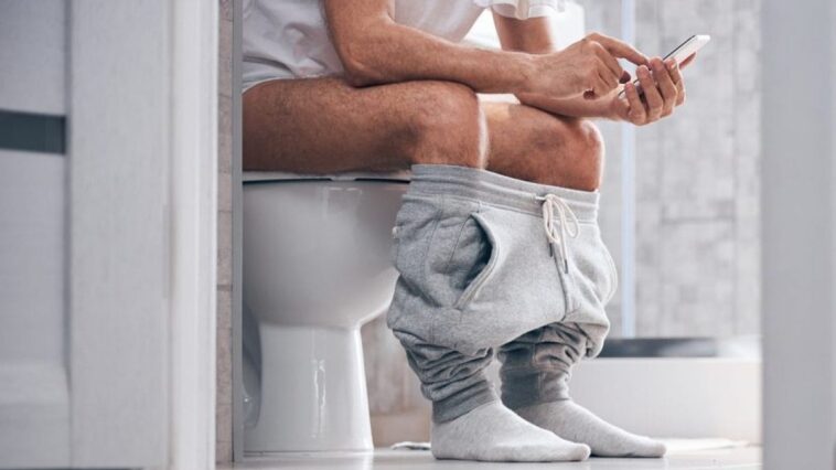 Pourquoi vous ne devriez pas rester assis sur les toilettes plus de 10 minutes 1 Immagine