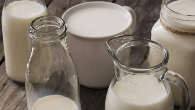 Premier cas de grippe aviaire chez un enfant aux États-Unis, Bassetti : « Attention au lait cru » 1 Image