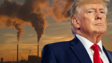 Donald Trump ordonne d'effacer la crise climatique des sites gouvernementaux : plusieurs pages déjà supprimées 24 Image