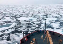 Arctique