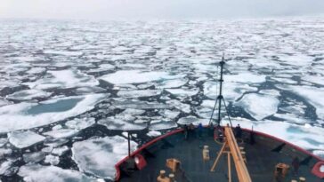 Quel est le véritable sens de l'« atlantification » de l'Océan Arctique ? 3 Arctique