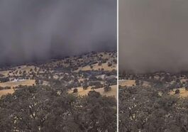 L'haboob, la violente tempête de poussière, qui a frappé la Central Valley de Californie / Crédit : UC San Diego