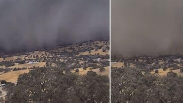 Qu'est-ce qu'un haboob : découvrez les images saisissantes de la tempête de poussière qui a frappé la Californie centrale 6 L'haboob, la violente tempête de poussière, qui a frappé la Central Valley de Californie / Crédit : UC San Diego