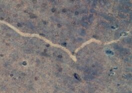 Svelato il mistero dell’enorme “cicatrice” scoperta sul terreno in Australia con Google Maps