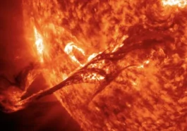 Sabia que houve uma super tempestade solar que ficou registada nos anéis das árvores?