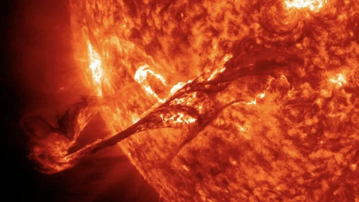 Saviez-vous qu'une incroyable tempête solaire a été enregistrée dans les anneaux des arbres ? 2 Saviez vous quune incroyable tempete solaire a ete enregistree dans les.webp