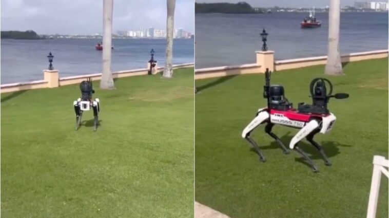 Un chien robot surveille la résidence de Trump en Floride : une caméra à la place de la tête ! 1 Un chien robot surveille la résidence de Trump en Floride : une caméra à la place de la tête !