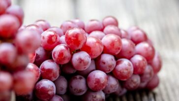 Un composé naturel du raisin rouge pourrait prévenir le cancer colorectal 26 L’uva rossa contiene un composto naturale chiamato resveratrolo che potrebbe prevenire i tumori all'intestino / Photo credit iStock