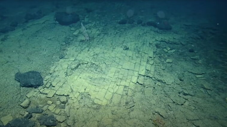 Une mission sous-marine avancée a trouvé quelque chose qu'elle n'attendait pas : le chemin de dalles jaunes 1 Une mission sous-marine avancée a trouvé quelque chose d'inattendu : le chemin de briques jaunes