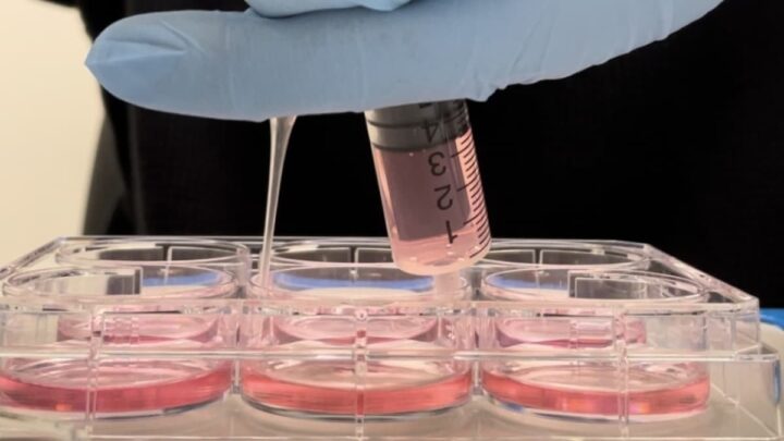 Une nouvelle étude révèle que le cerveau n'est pas le seul responsable de nos souvenirs 3 Une nouvelle etude revele que le cerveau nest pas le