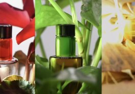 Des Scientifiques Créent Un Matériau D'invisibilité Caméléon Sans électricité !